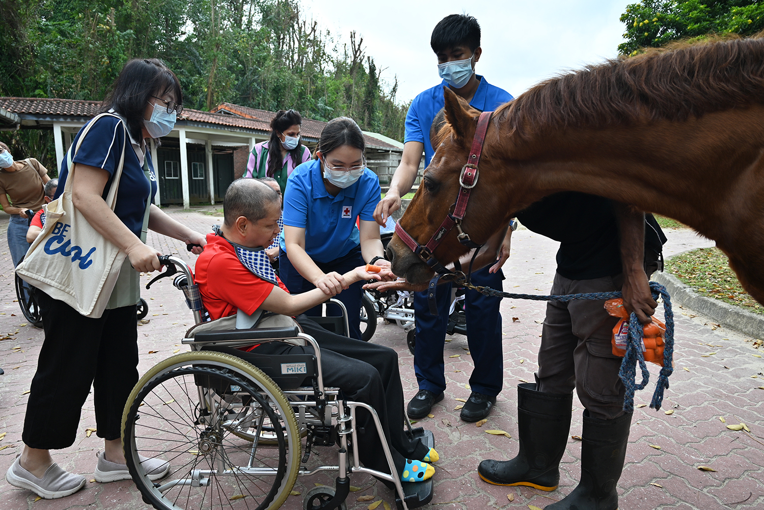 Red Cross 2025 (18 Feb)