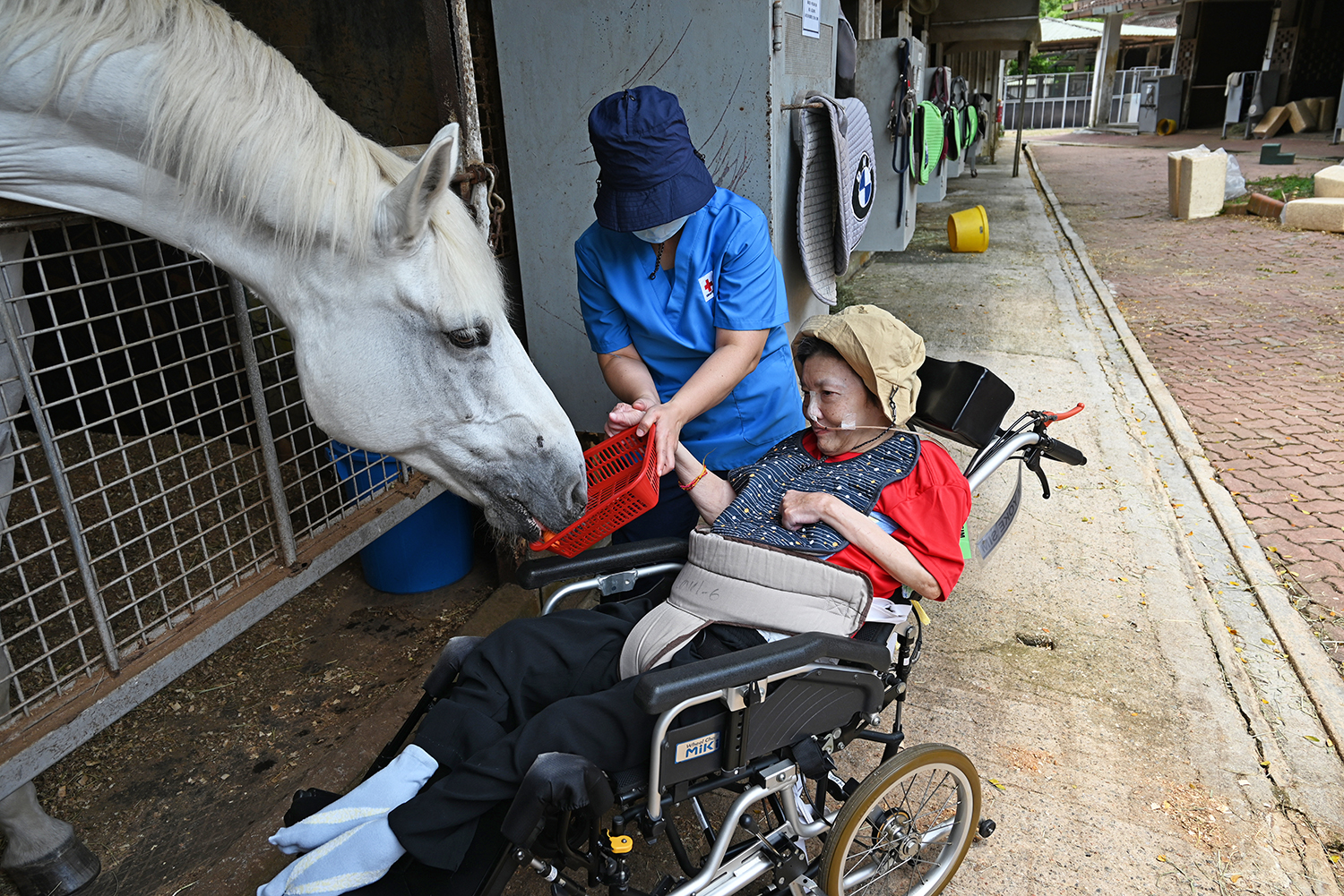 Red Cross 2025 (4 Mar)